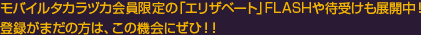 oC^JdJ́uGUx[gvFLASHҎ󂯂WJI
